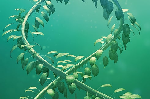 Two green branches in the shape of DNA on a green background