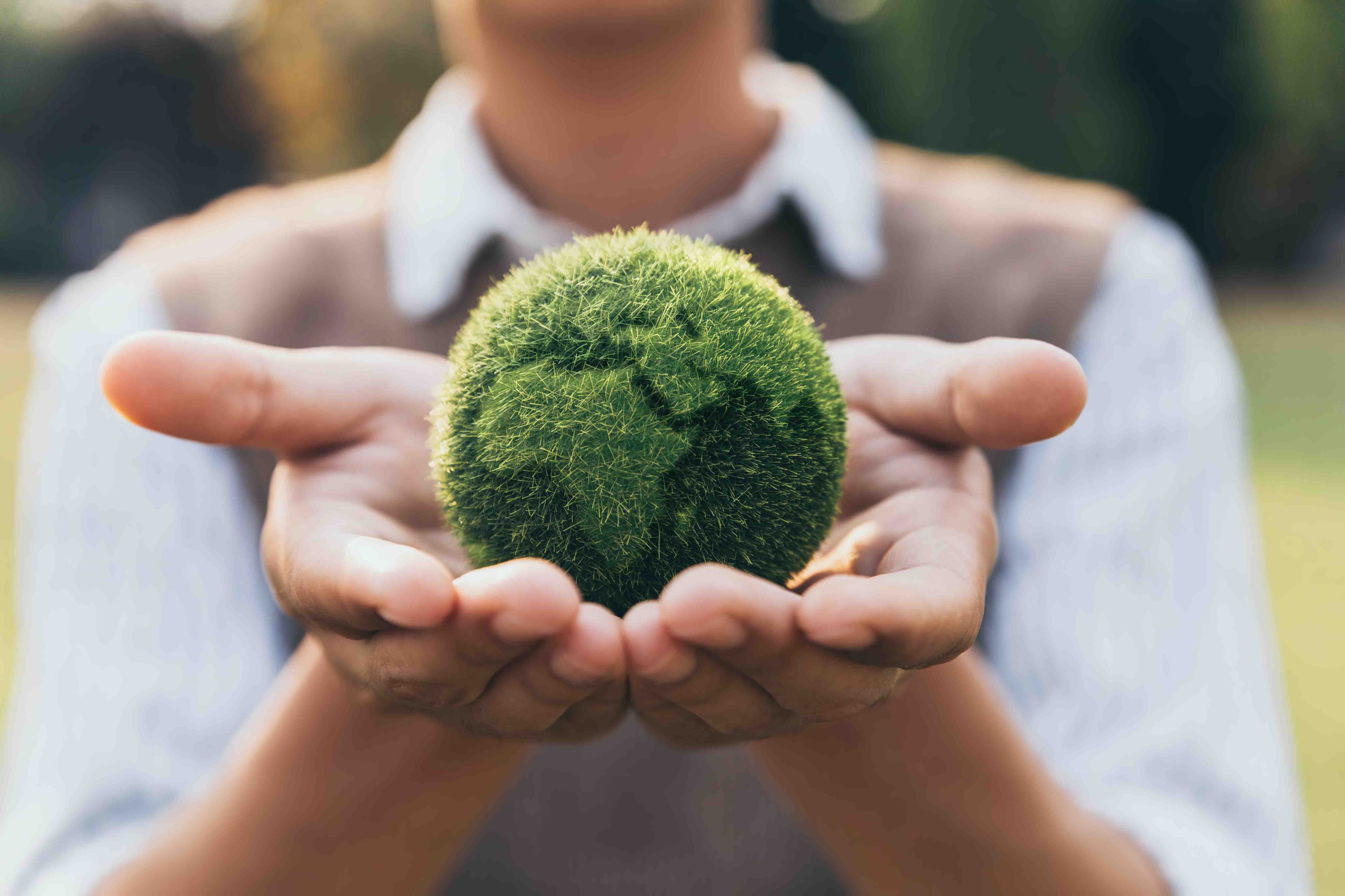 hands holding a mossy globe
