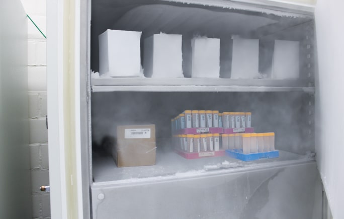 Inside of an ULT freezer that holds samples